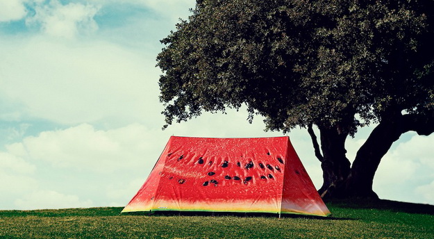 FieldCandy01_resize.jpg