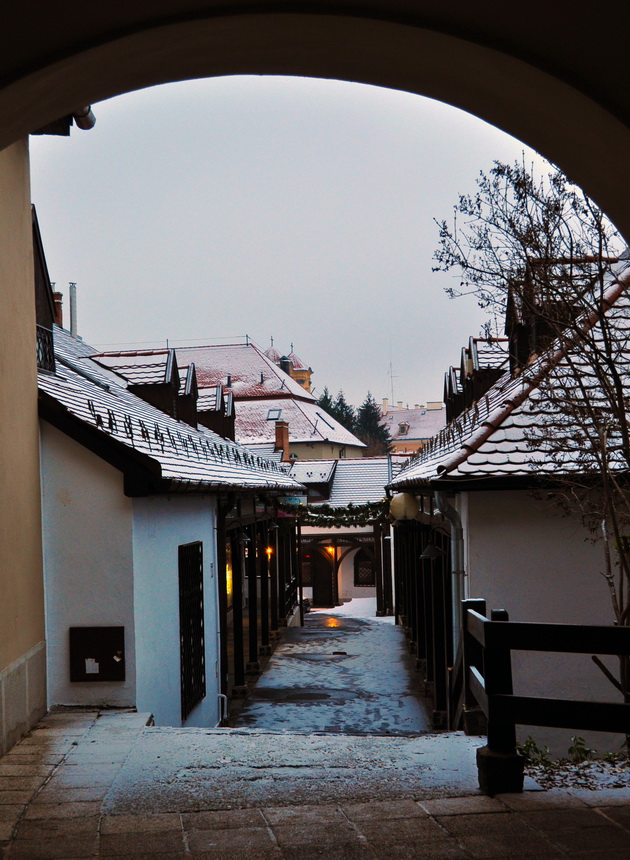 Eger09_resize.JPG