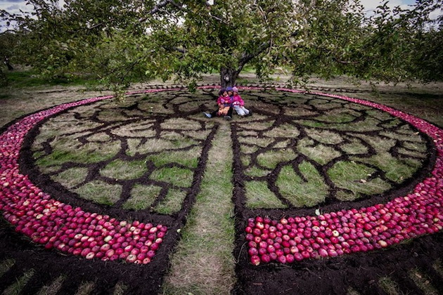 apple mandala01_resize.jpg