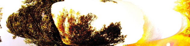 DSCF4843gc3.jpg