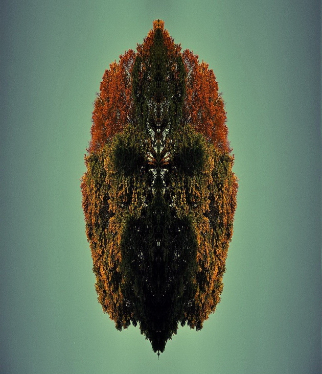 In the tree.jpg