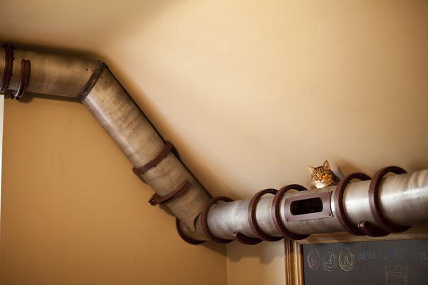 Steampunk-Inspired-Cat-Tunnel-System-1.jpeg