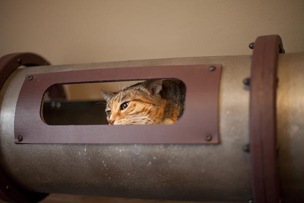 Steampunk-Inspired-Cat-Tunnel-System-4.jpeg