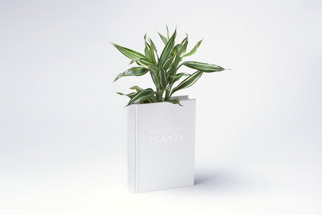 book vase03_resize.jpg