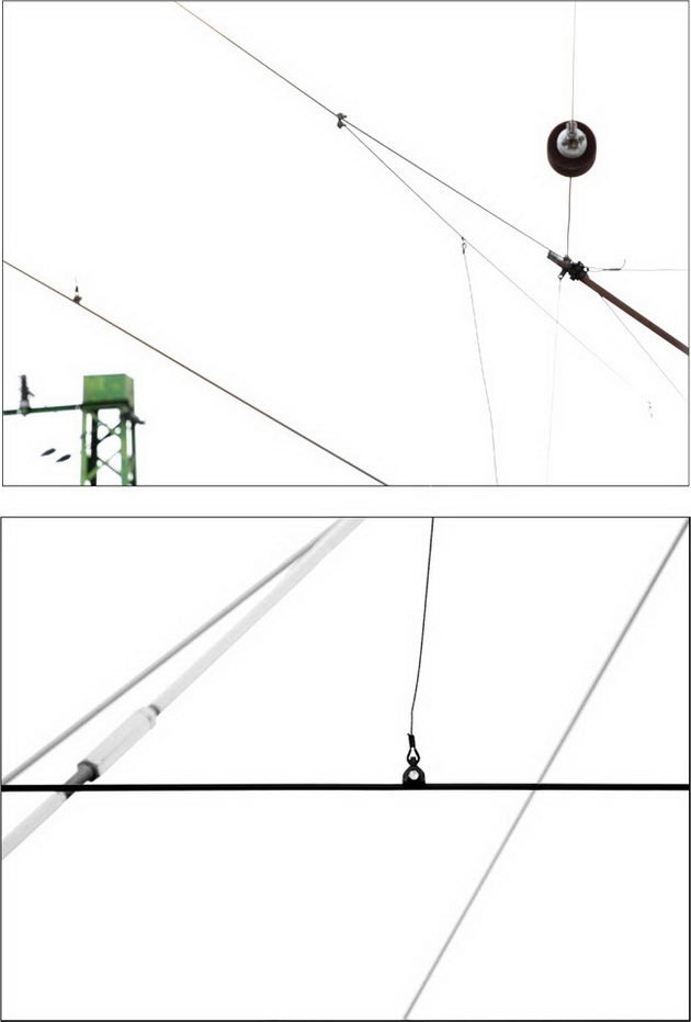 CsB11_resize.jpg