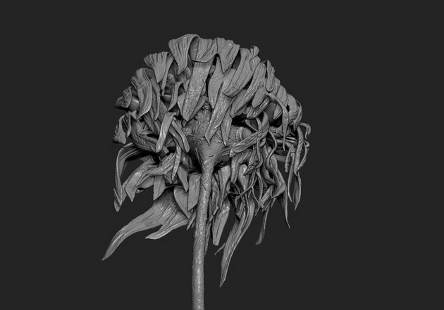 3Dsunflowers06_resize.jpg