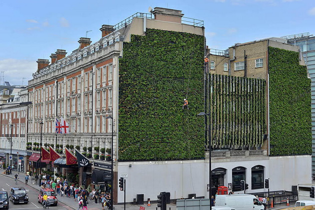 livingwall01_resize.jpg