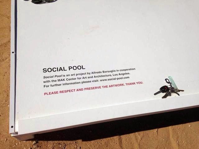 social pool04.jpg