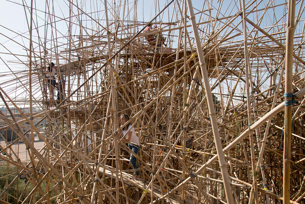 big bambu01.jpg