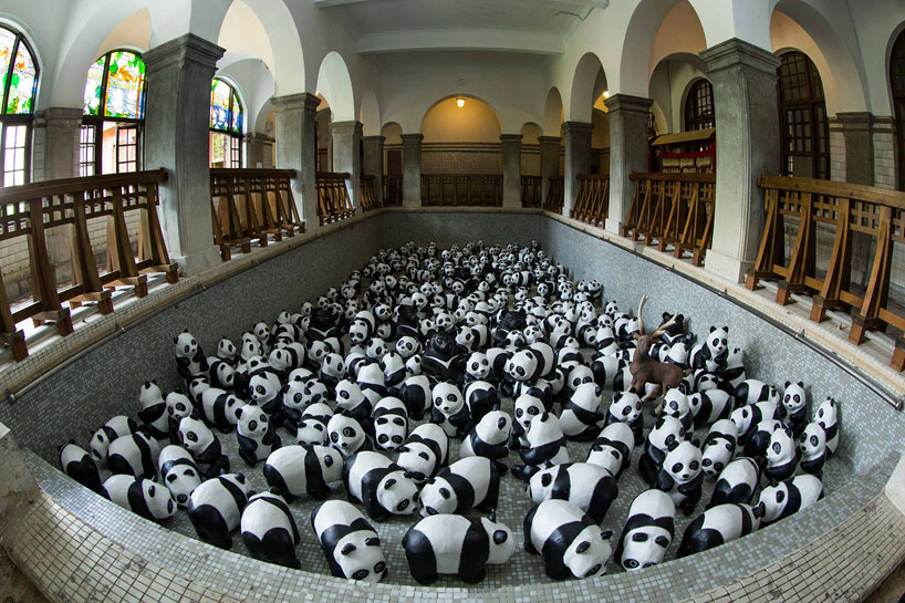 panda09.jpg