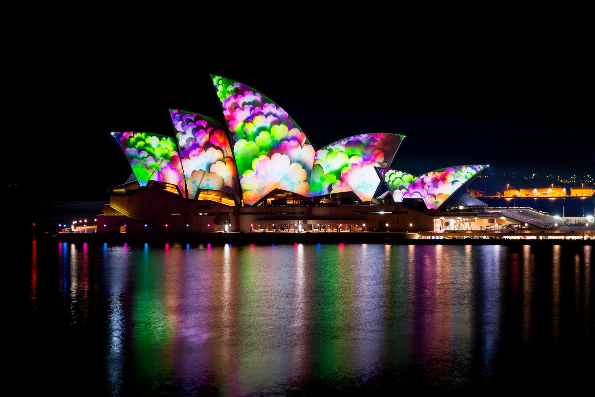 vivid2014 09.jpg