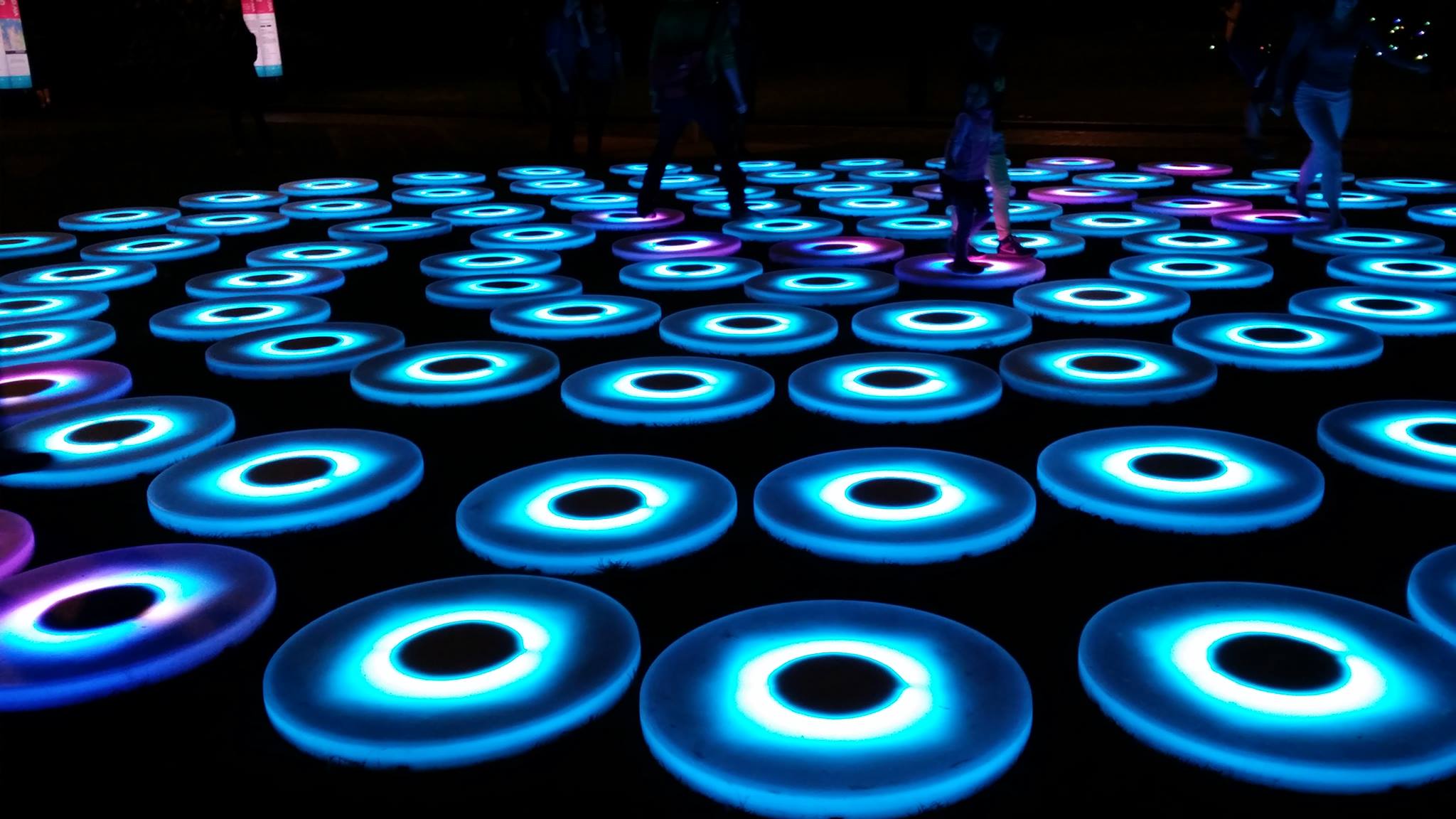 vivid2014 11.jpg