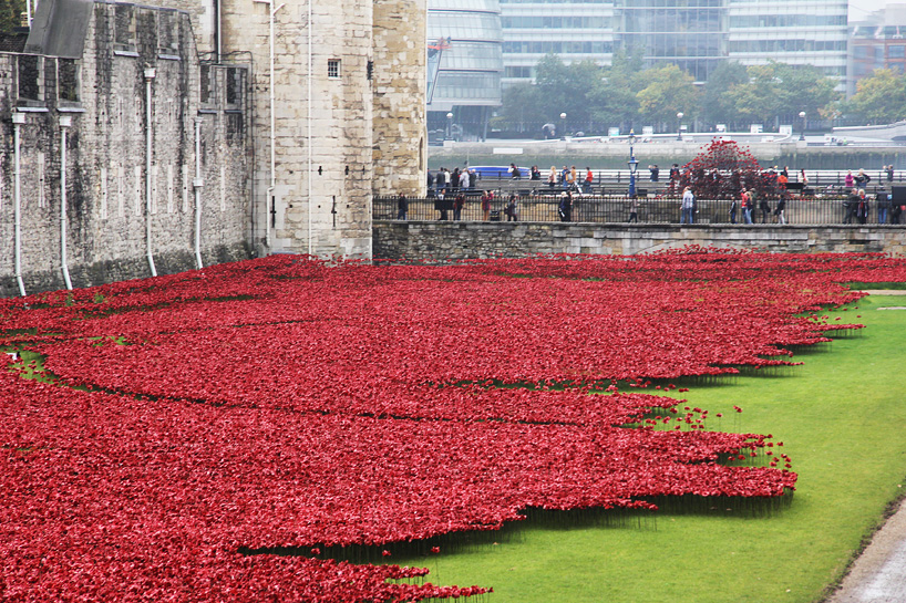 ceramic-poppies06.jpg