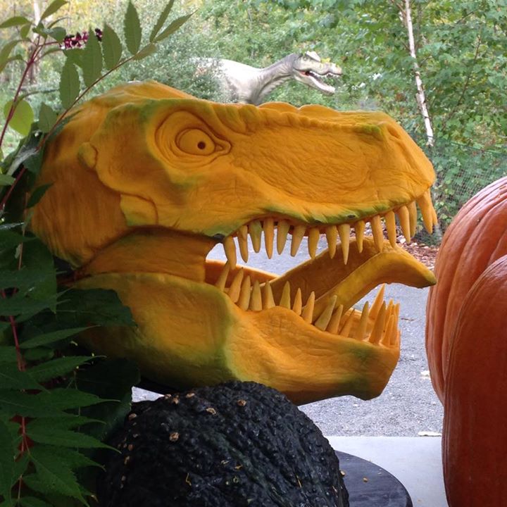 pumpkin t-rex01.jpg
