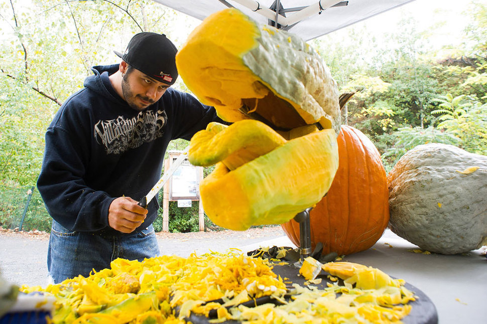 pumpkin t-rex04.jpg