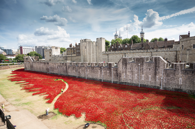 ceramic-poppies01.jpg