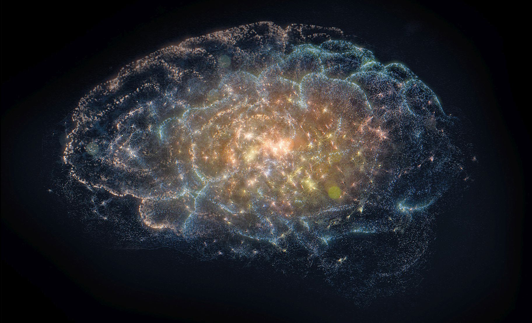 Több mint 7.5 milliárd valóság / Az agy – David Eagleman