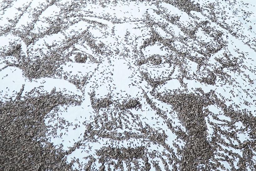 Ai Weiwei 20 ezer napraforgómagból