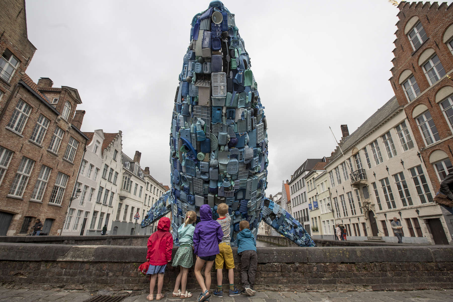 bruges_whale05.jpg