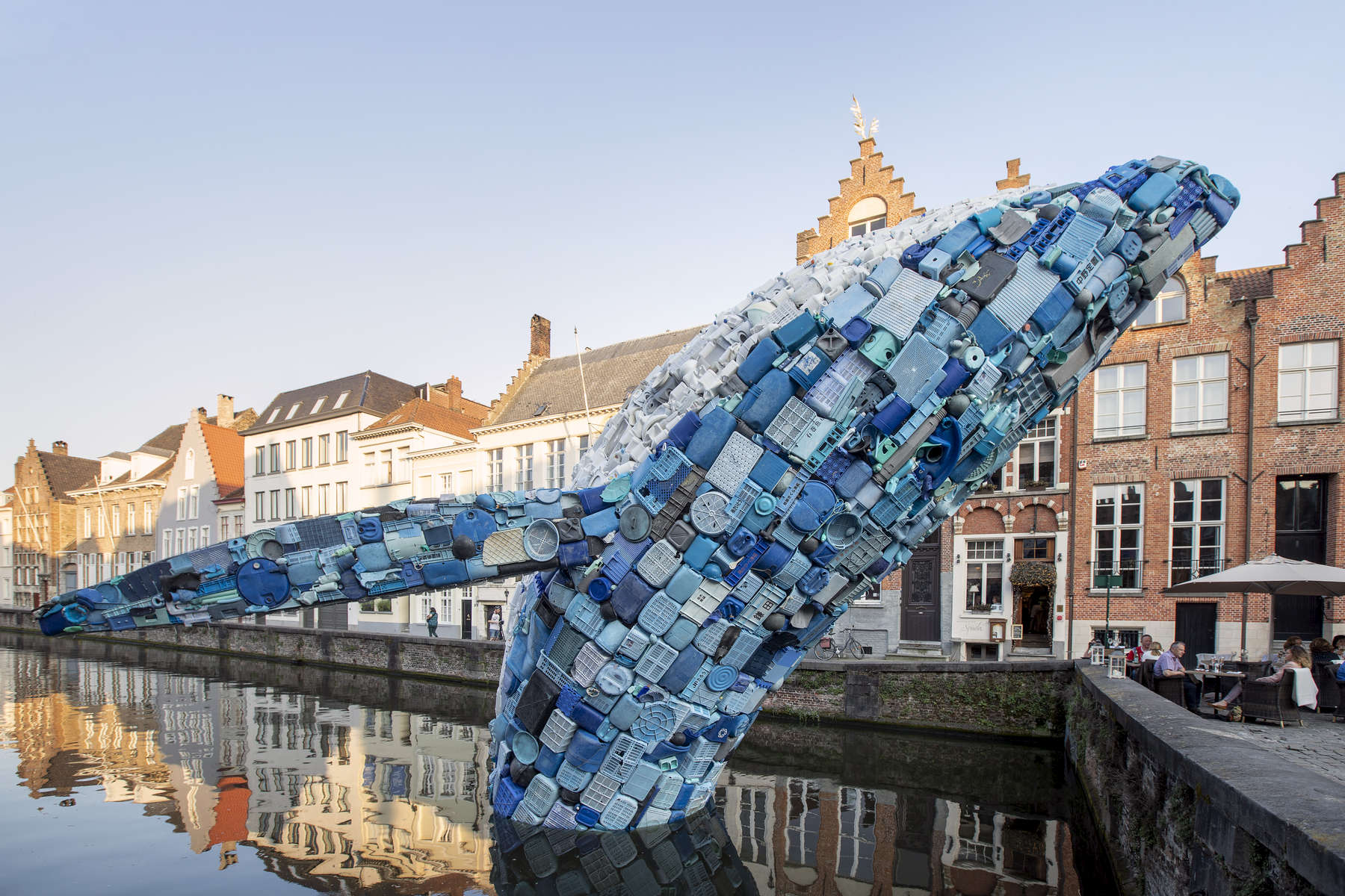 bruges_whale06.jpg