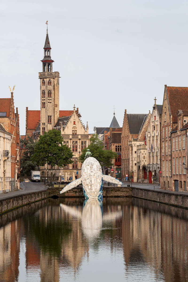 bruges_whale08.jpg