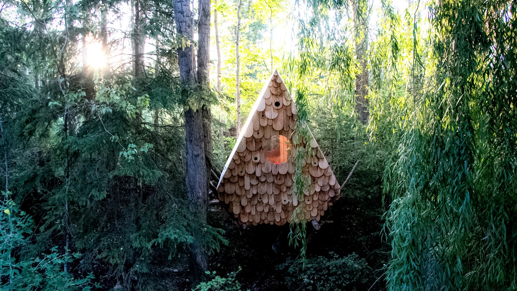 Aprócska erdei ház, amelyben madarak a társbérlők