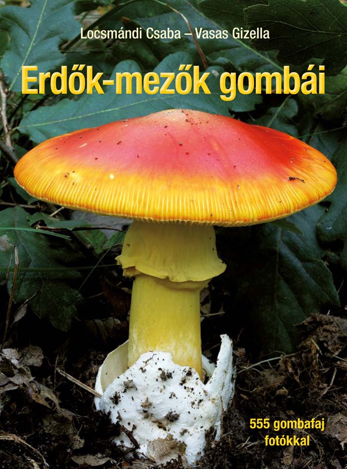 erdok-mezok-gombai.jpg