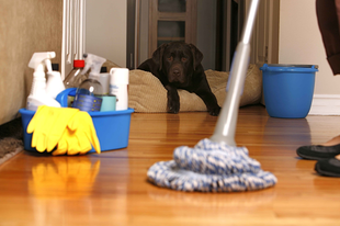 9 takarítási tipp, és másként csillog a lakás