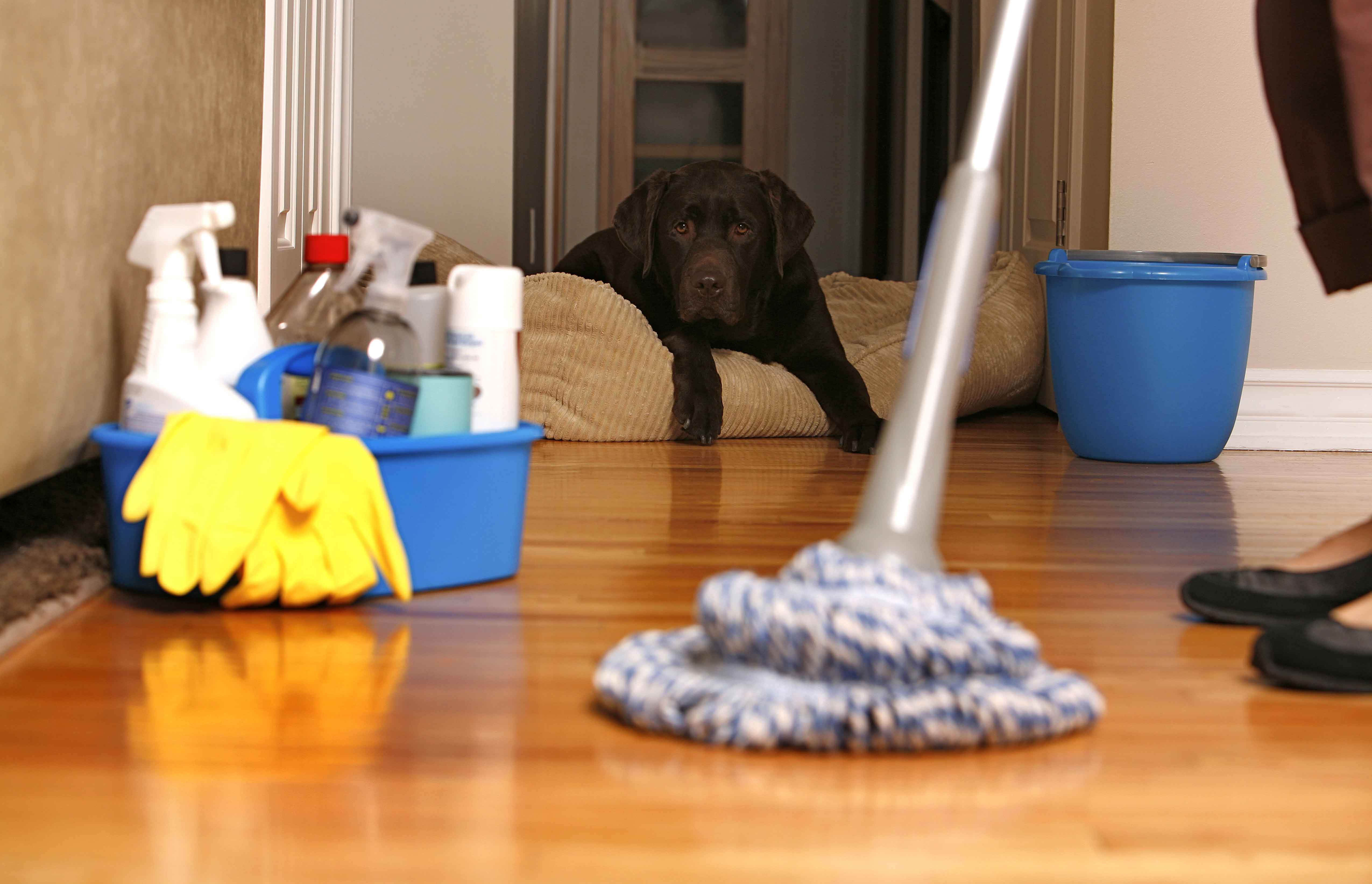 cleaning-floor.jpg