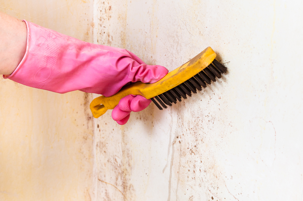 cleaning-of-room-wall-from-mold-with-brush.jpg