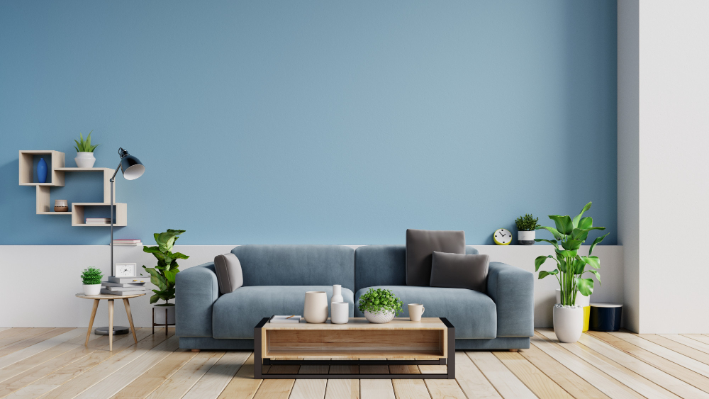 interior-bright-living-room-with-pillows-sofa-plants-lamp-empty-blue-wall.jpg