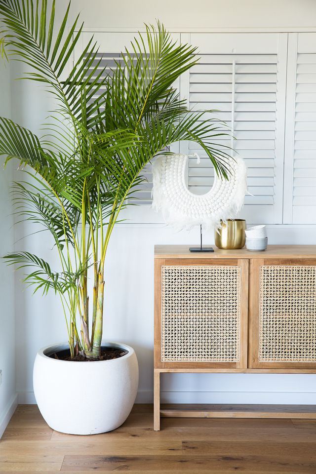 natural-plants-with-tropical-sideboard-rattan-decor.jpg