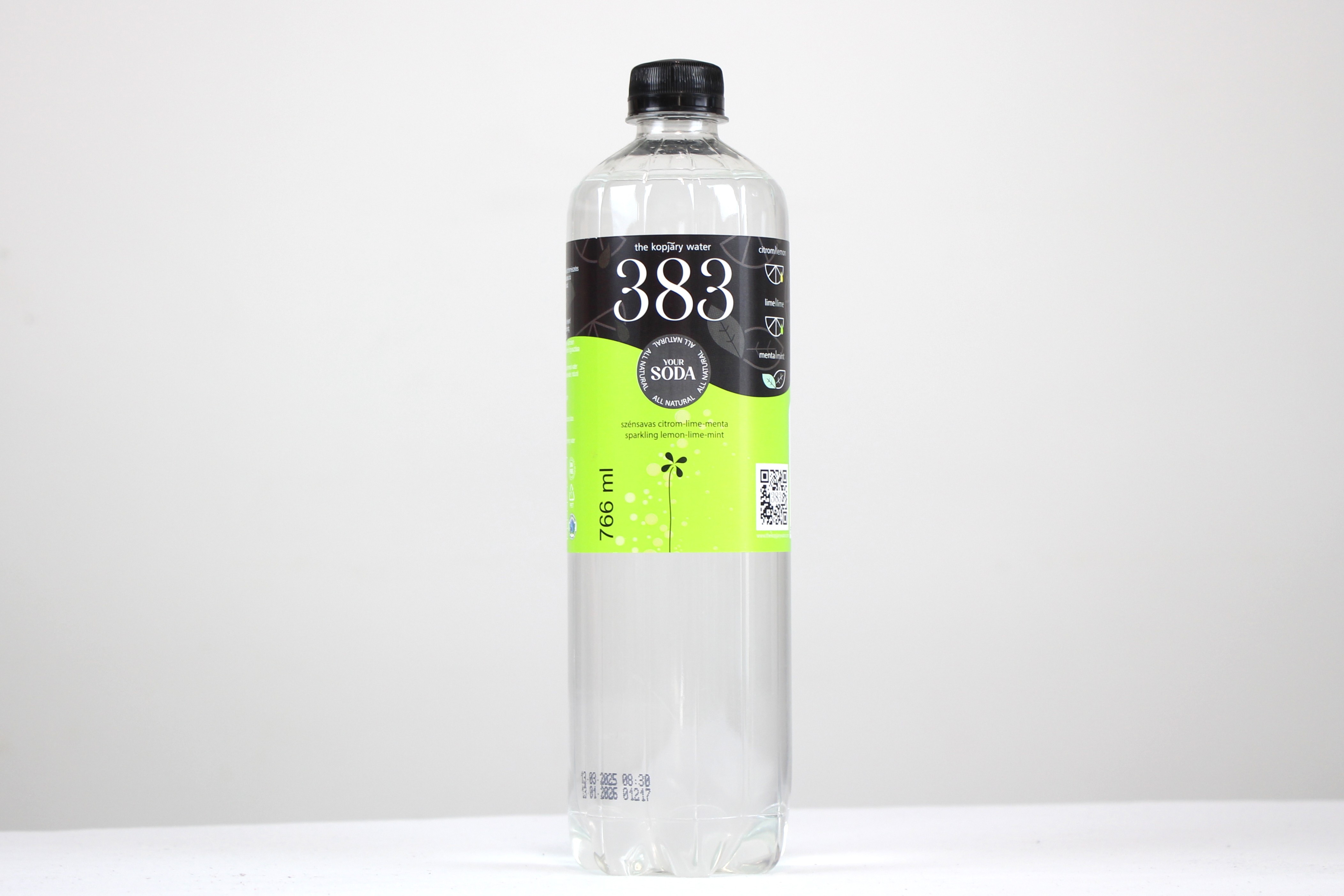 383.JPG