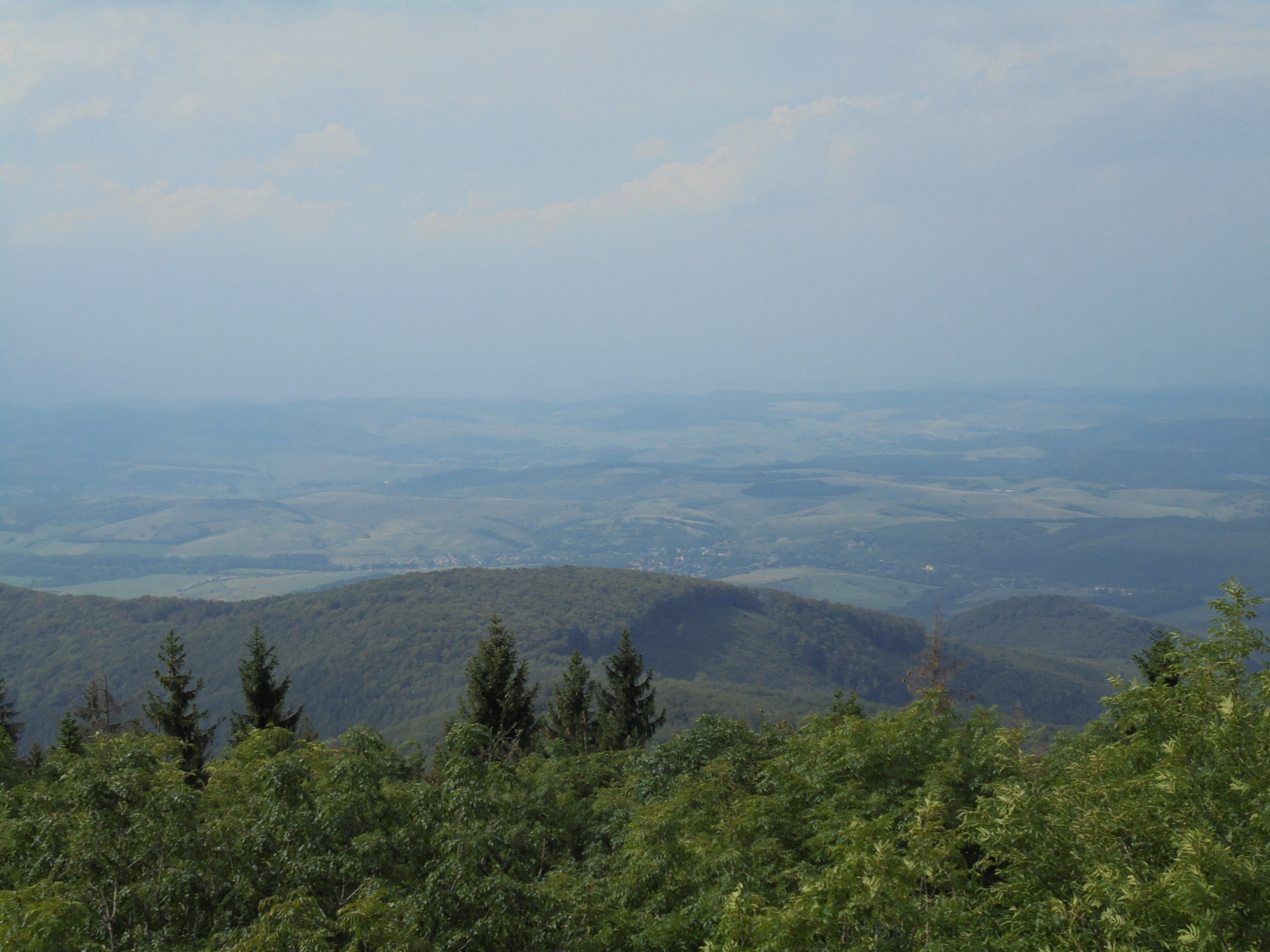 dsc07293.JPG