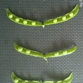 Játék és számolás friss zöldborsóval