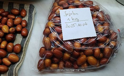 jujuba-20251004.jpg