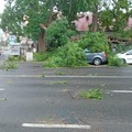 Vihar Összefoglaló Hajdú-Bihar megyéből