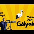 Hogyan videóztuk gólyákat?