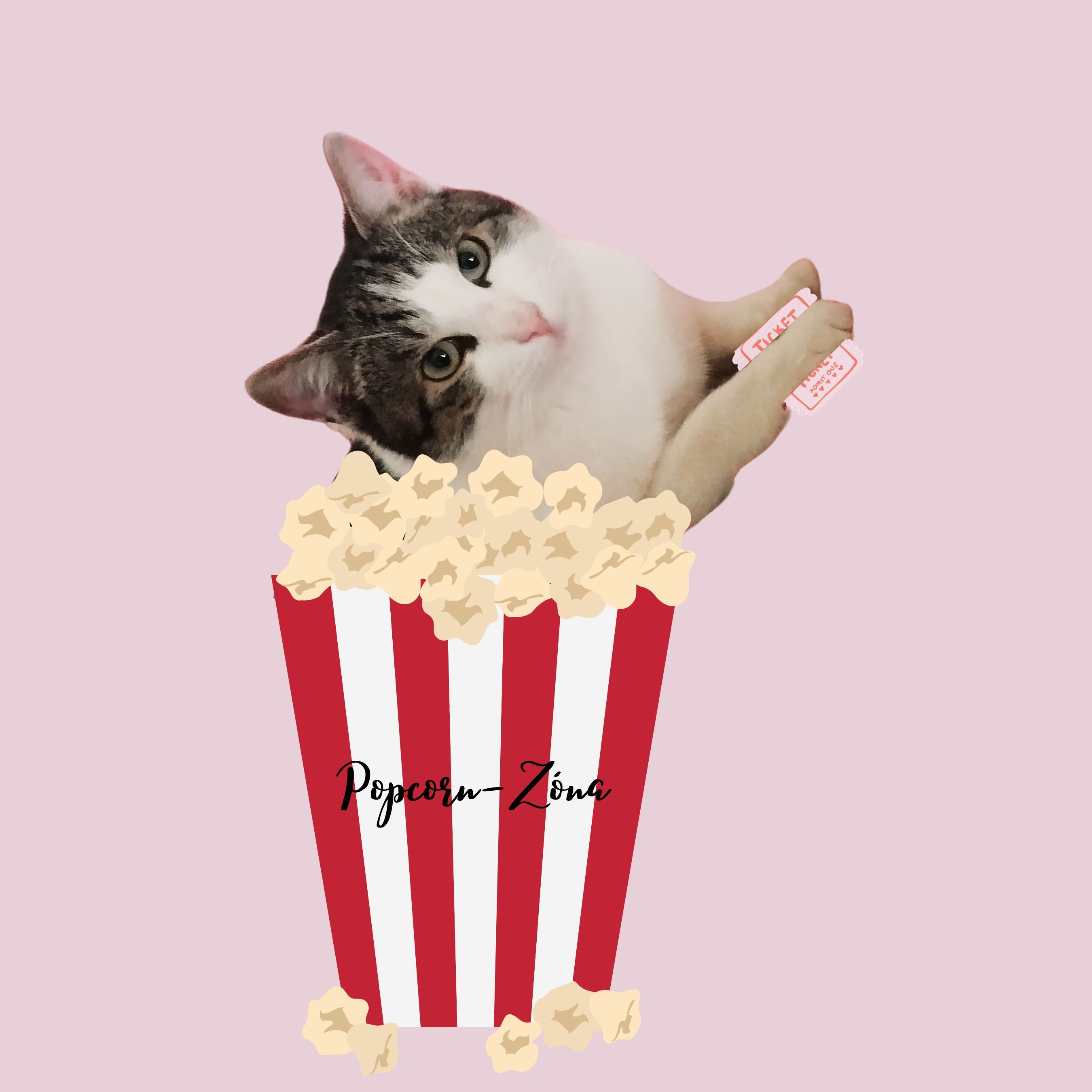 popcorn-zona_1_23.jpg