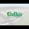 Gallus - Brandbook Video