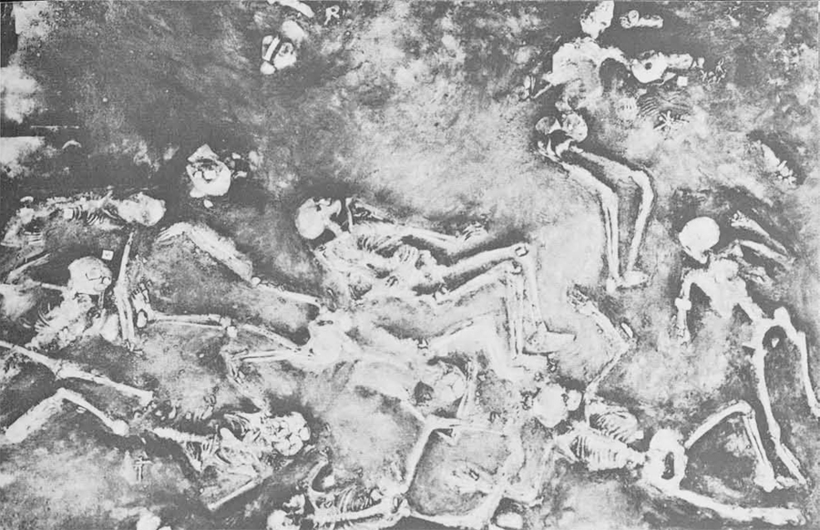 massacre-mohenjo-daro.jpg