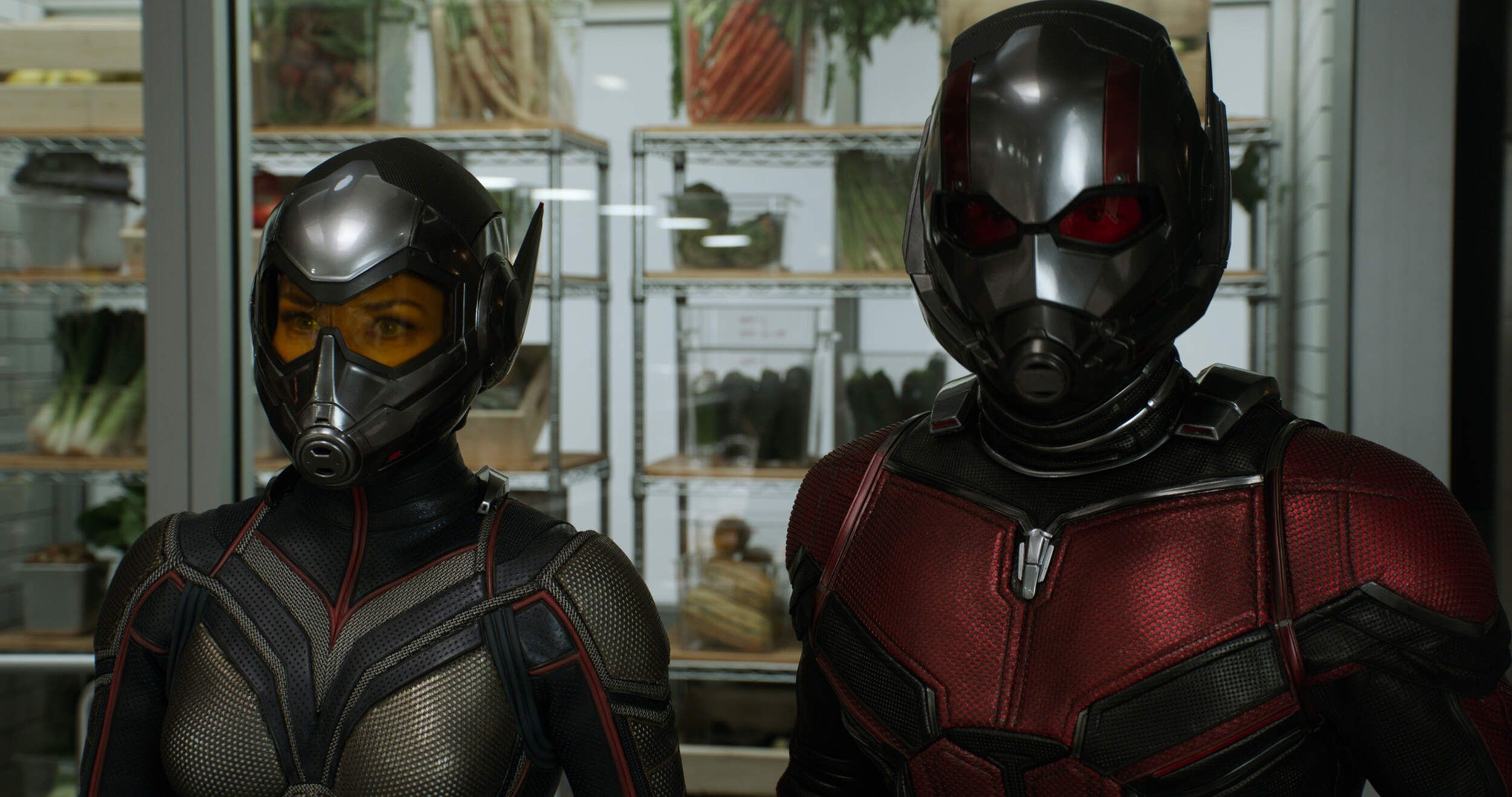 ant-man-and-the-wasp-still.jpg