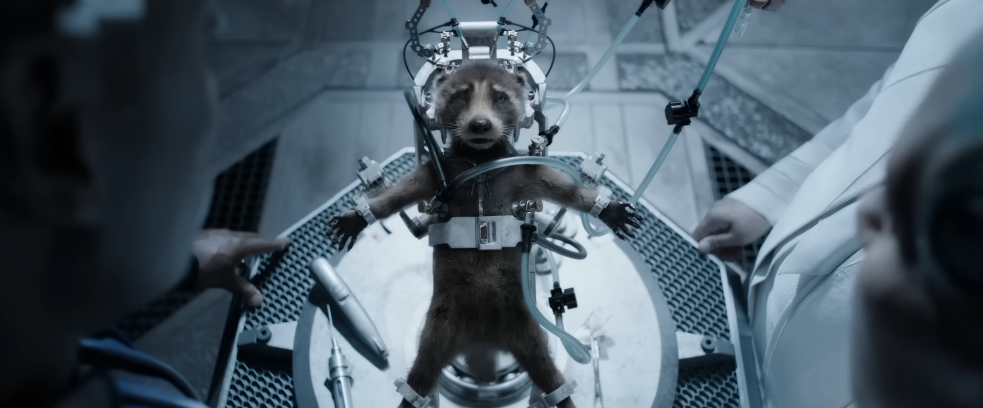 marvel_studios_guardians_of_the_galaxy_vol_3_new_trailer_0-44_screenshot_batch.jpg