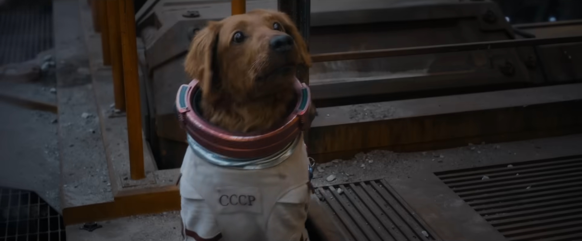 marvel_studios_guardians_of_the_galaxy_vol_3_new_trailer_1-22_screenshot_batch.jpg