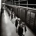 Az utolsó rabok elhagyják az Alcatrazt (1963)