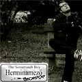 Napi lemez: Herminamező Sickpop - The Somersault Boy (2012)