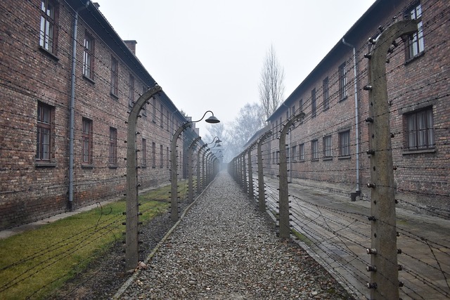 auschwitz-4872532_960_720.jpeg