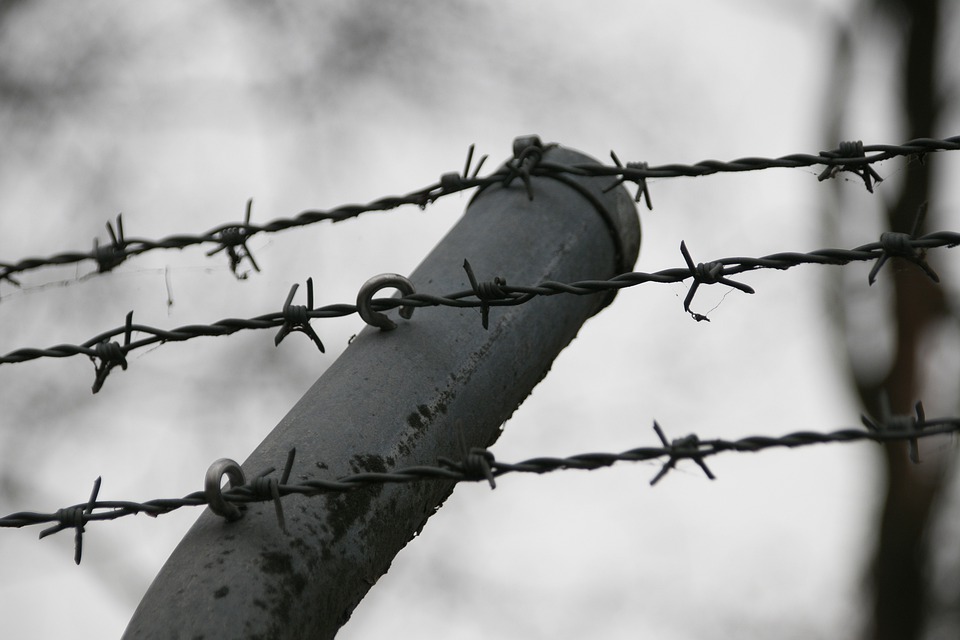 barbed-wire-5989113_960_720.jpg