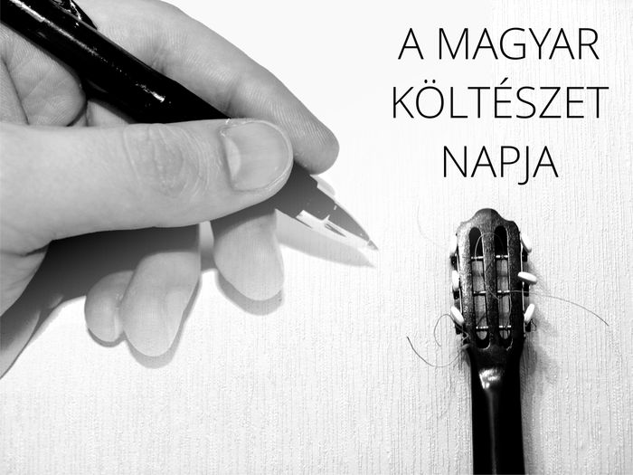 magyar-kolteszet-napja.jpg