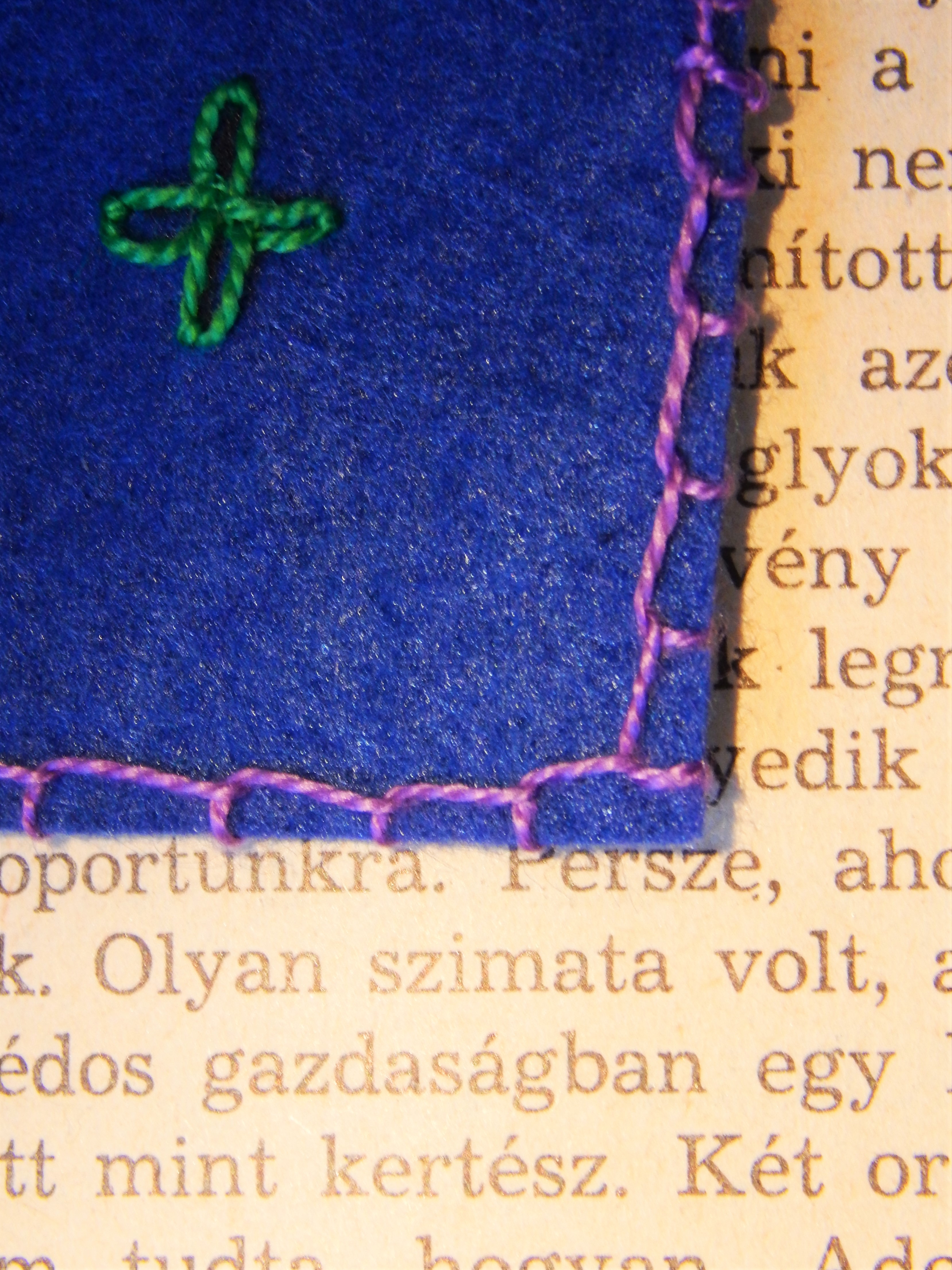 dscn4207.JPG